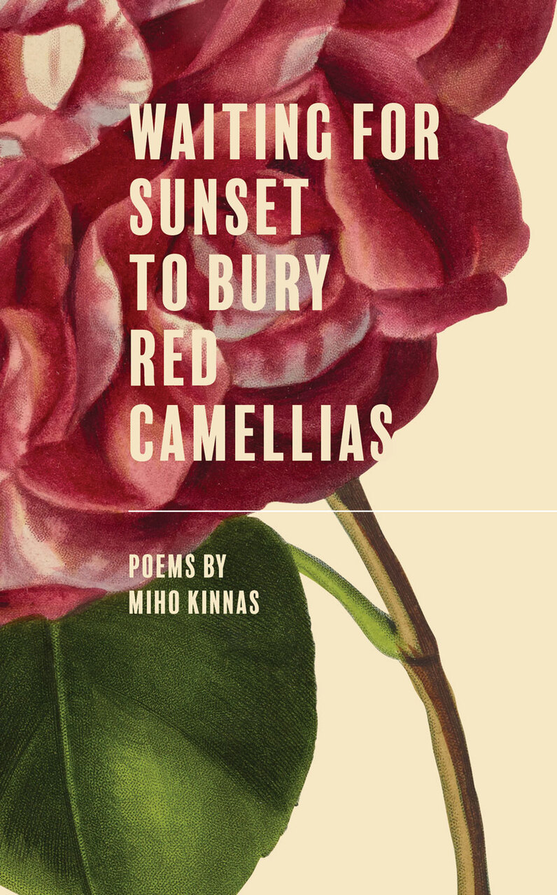 Waiting for Sunset to Bury Red Camellias